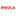 Polynor.com Favicon