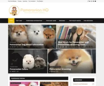 Pomeranian.org(Pomeranian dog information. Facts about pomeranians.Discover why this dog with big attitude) Screenshot