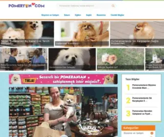 Pomeryan.com(POMERANIAN) Screenshot