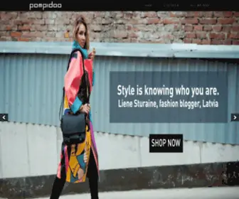 Pompidoo.com(Stylish Camera Bags) Screenshot