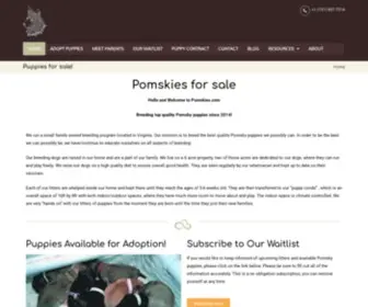 Pomskies.com(Pomskies for Sale) Screenshot