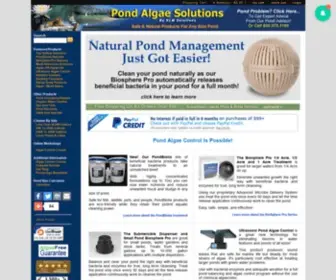 Pondalgaesolutions.com(Pond Algae Control Treatments For Ponds And Watergardens) Screenshot