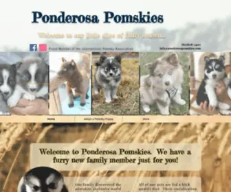 Ponderosapomskies.com(Texas Pomsky Breeder) Screenshot