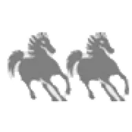 Poneyturismo.com.br Favicon