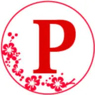 Pongyi.com Favicon