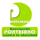 Pontesano.com Favicon