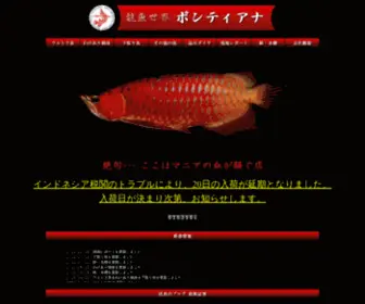 Pontiana-Web.com(龍魚世界ポンティアナ) Screenshot