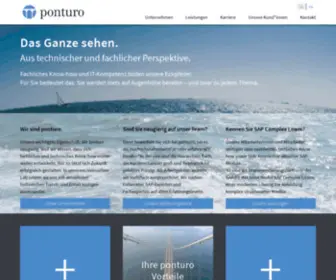 Ponturo.com(Top SAP) Screenshot