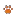 Poochybed.com Favicon
