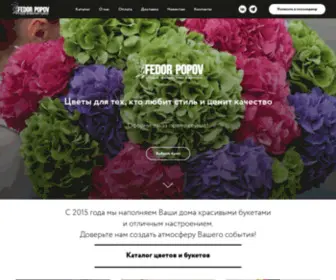 Popovstudio.com(Студия) Screenshot