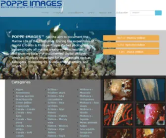 Poppe-Images.com(Marine Iconography of the Philippine Archipelago) Screenshot