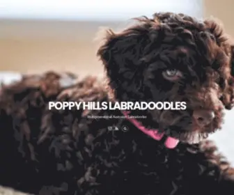 Poppyhillslabradoodles.com(Multigenerational Australian Labradoodles) Screenshot