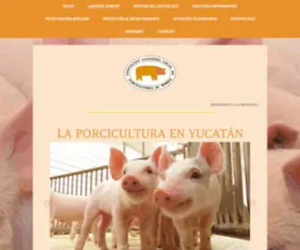 Porcicultoresmerida.com.mx(Porcicultores merida) Screenshot