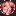 Pornohype.info Favicon