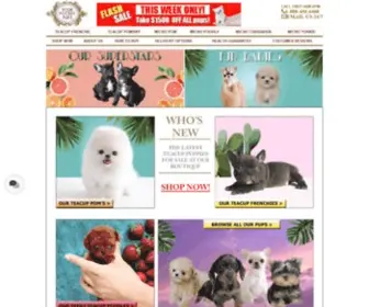 Poshpocketpups.com(Rare Micro Teacup Puppies for sale near me) Screenshot