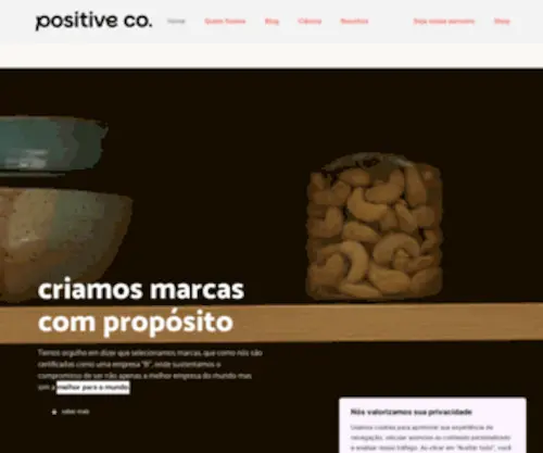 Positivebrands.com.br(Positivebrands) Screenshot
