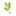 Potatogarden.com Favicon
