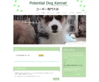 Potential-Dog-Kennne.com(コーギー専門犬舎ブリーダー) Screenshot