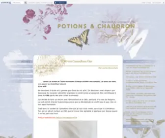 Potions-ET-Chaudron.com(Potions et Chaudron) Screenshot