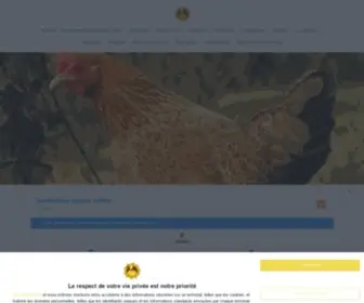Poulailler-Bio.fr(Le risque de grippe aviaire est élevé) Screenshot