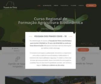 Pousadadospinhos.com.br(Pousada dos Pinhos) Screenshot