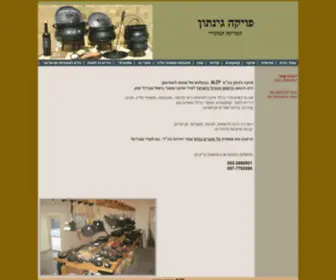 Poyke-Ginaton.com(פויקה) Screenshot