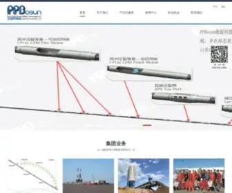 PPbosun.com(天津泛亚科瑞成油田技术有限公司（简称：PPBosun）) Screenshot