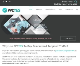 PPcyes.net(Guaranteed Targeted Traffic Packages With Conversion in Mind) Screenshot