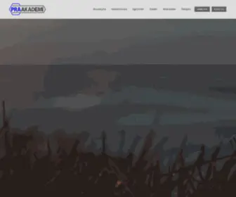 Praakademi.com(E-Ticaret, E) Screenshot
