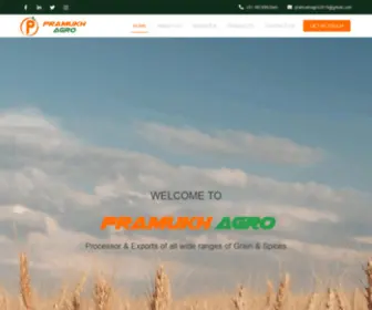 Pramukhagro.com(Pramukh Agro) Screenshot