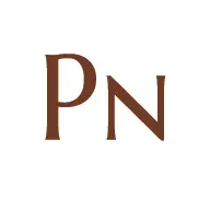 Praneetsin.com Logo