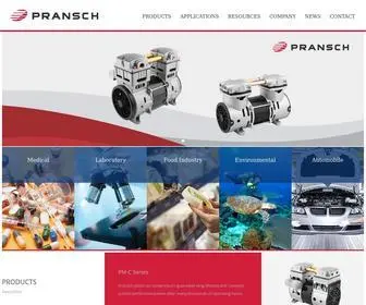 Pransch.com(Piston Vacuum Pumps) Screenshot