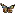 Praskovalakovna.cz Favicon