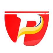 PraticPlasticos.com.br Logo