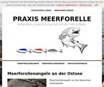 Praxis-Meerforelle.de(Meerforellenangeln vom Ufer und Strand an der Ostsee) Screenshot