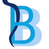 Praxiswiblingen.de Logo
