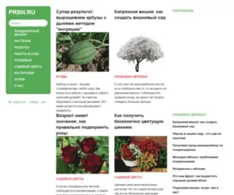 PRBN.ru(Садовые) Screenshot