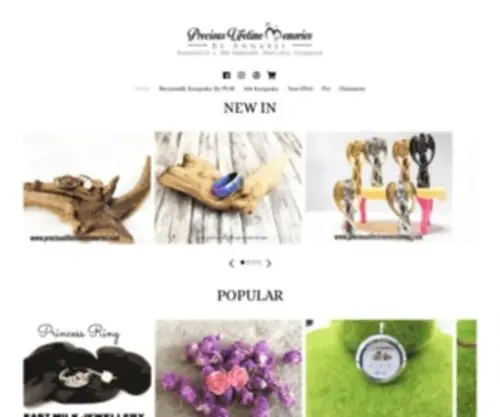 Preciouslifetimememories.com(Precious Lifetime Memories) Screenshot