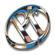 Precisionrings.com Favicon