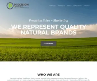 Precisionsalesny.com(Precision Sales & Marketing) Screenshot