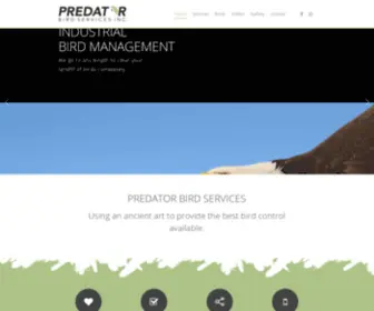 Predatorbirdservices.com(Wild Bird Management & Media Services) Screenshot