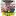 Predatorpeeblog.com Favicon