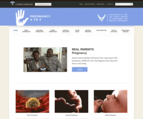 Pregnancyatoz.com(Forsale Lander) Screenshot