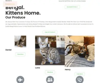 Premiumbengalkittens.com(Premium Bengal Kitten Home) Screenshot