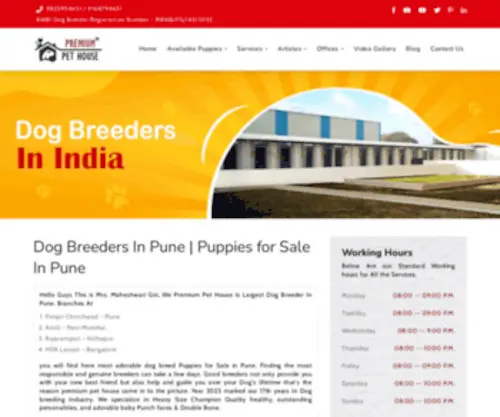 Premiumpethouse.com(Dog Breeders in Pune) Screenshot