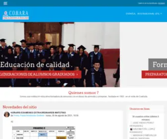 Prepacca.com(Prepacca) Screenshot