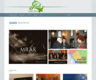 Preporodbn.com(BZK) Screenshot