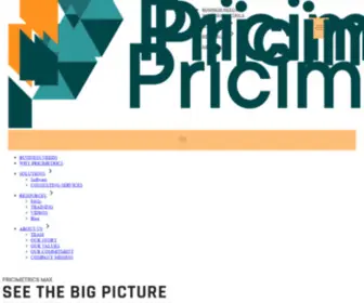 Pricimetrics.com(Business Home) Screenshot