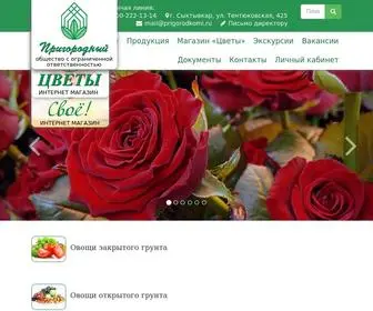Prigorodkomi.ru(Главная) Screenshot