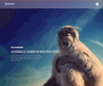 Primate.es(Agencia de desarrollo web) Screenshot